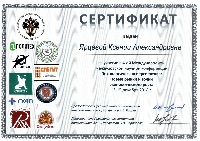 Сертификат "Технологическа перспектива: Новые рынки и точки экономического роста" Ярцева К.А.