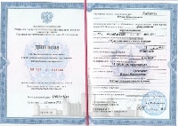 Диплом Гребенник Е.