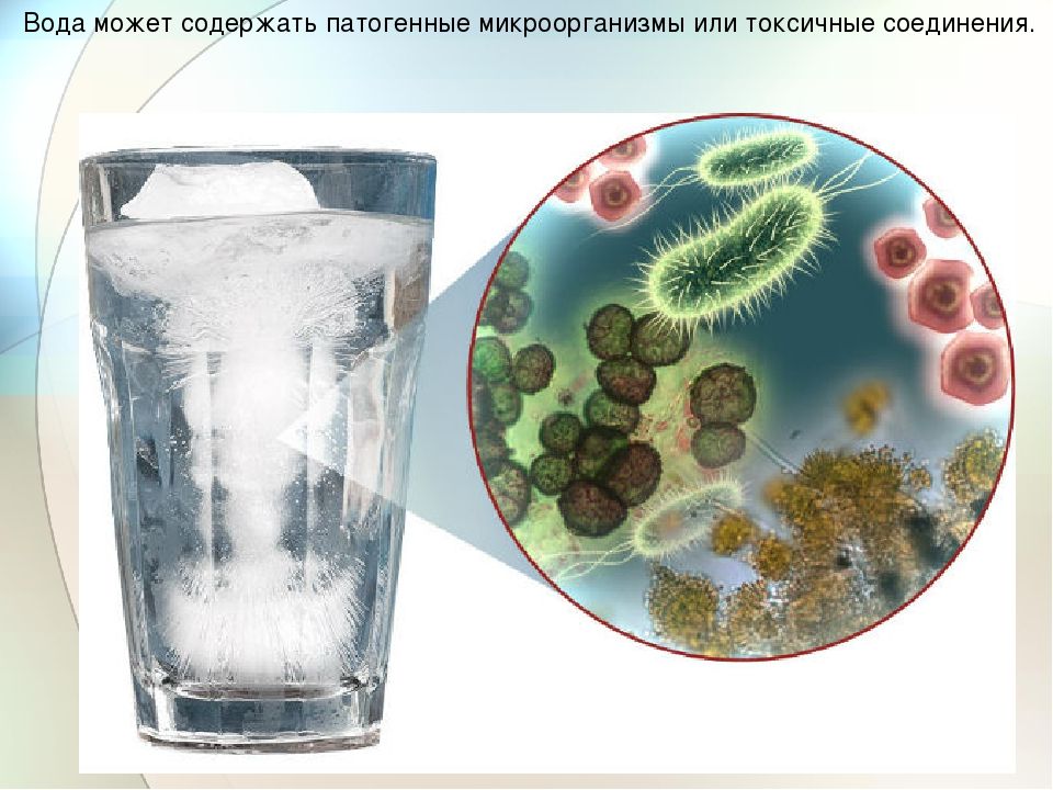 Бактерии в воде