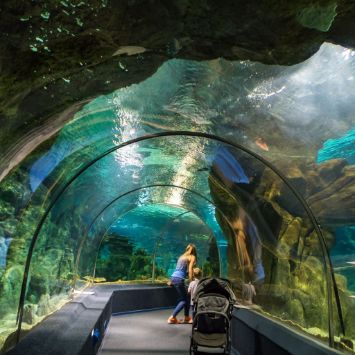 Океанариум