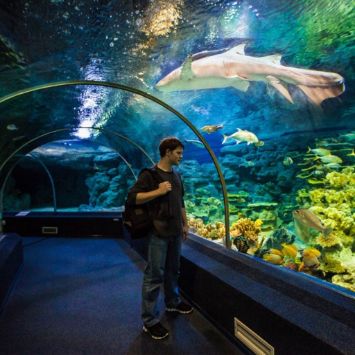 Океанариум в Адлере