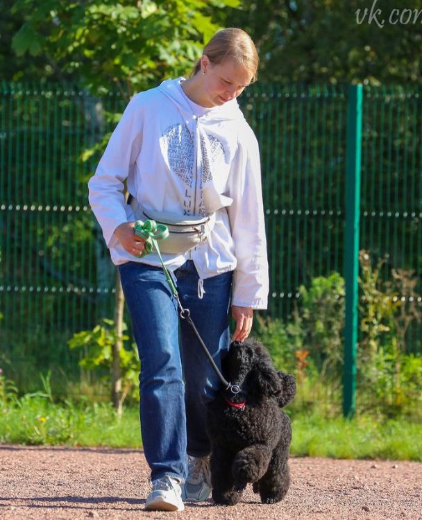 Консультация кинолога и зоопсихолога