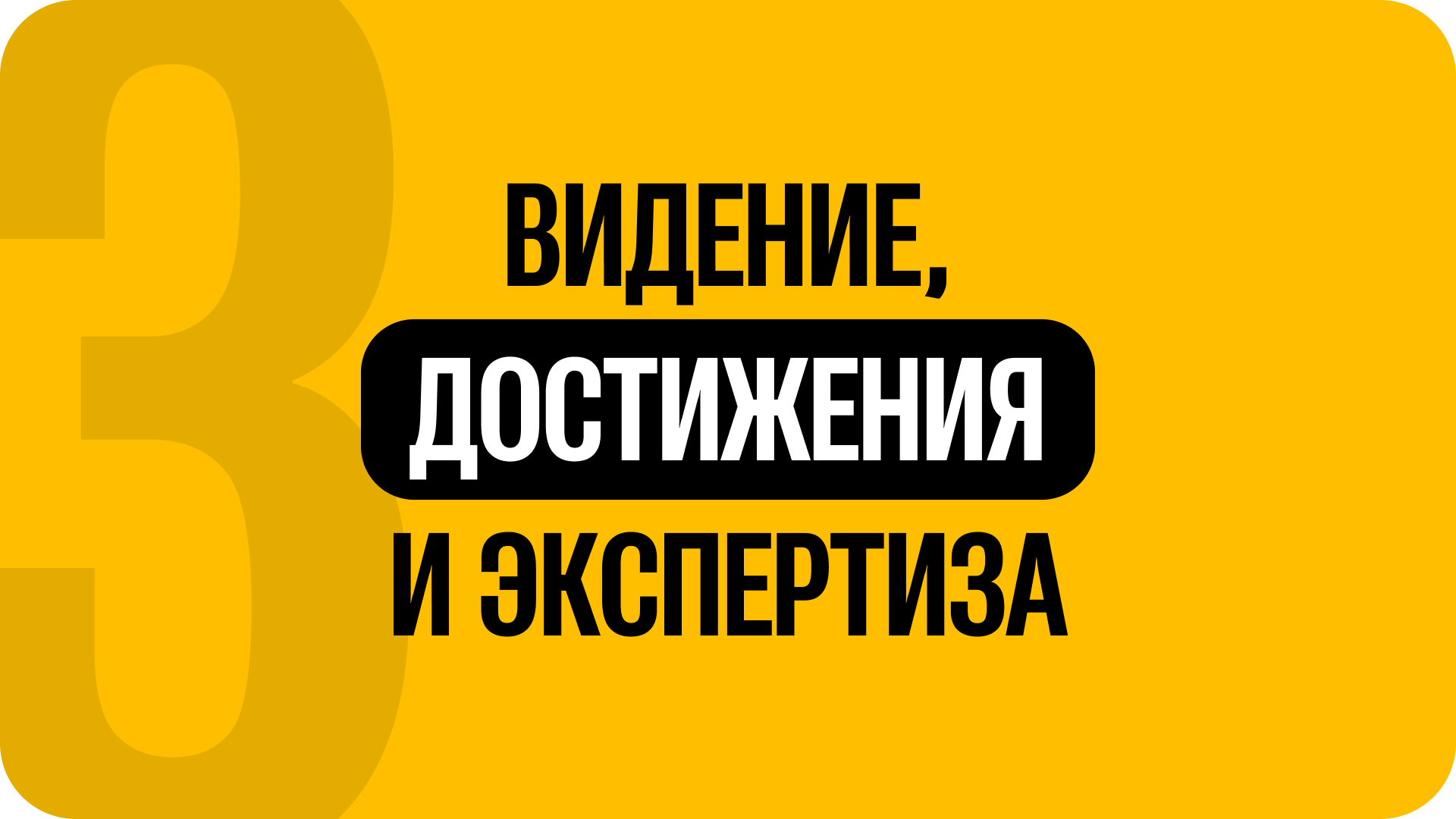 3) Видение, достижения и экспертиза