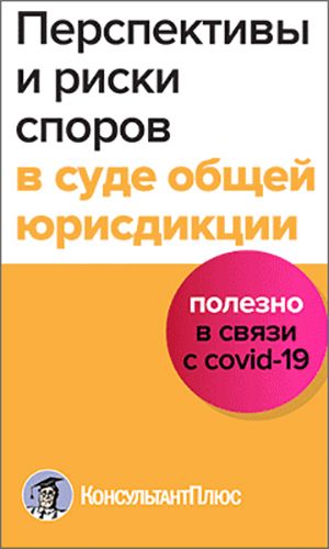 Перспективы и риски споров в суде общей юрисдикции