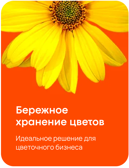 Бережное хранение цветов Идеальное решение для цветочного бизнеса