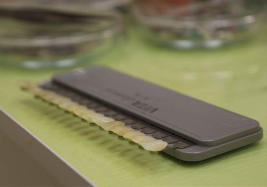 Сеть стоматологических клиник Санидент