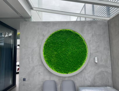 Мастер - класс