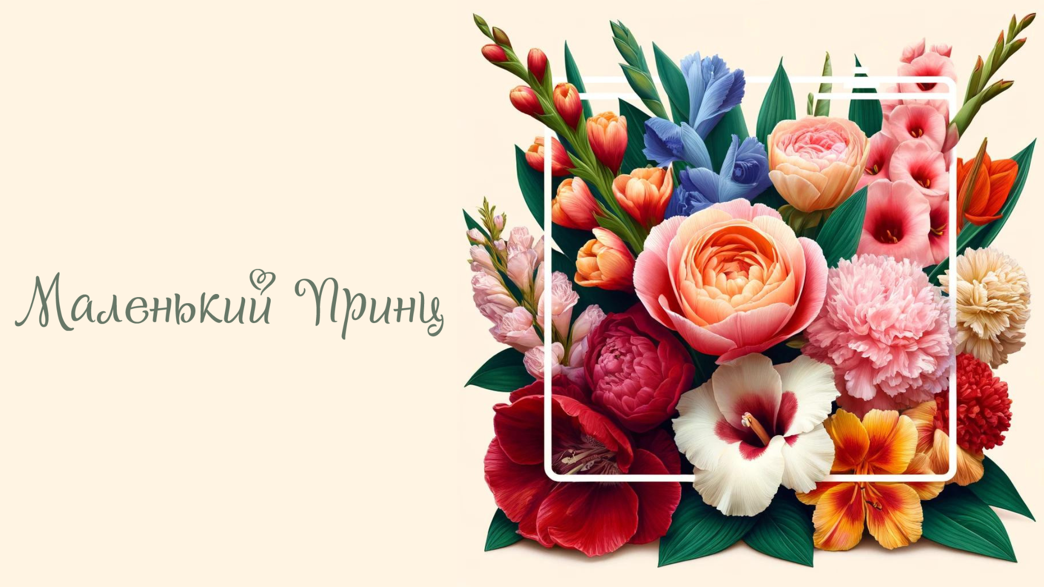 Луковица Лилии сорт Candy Club
