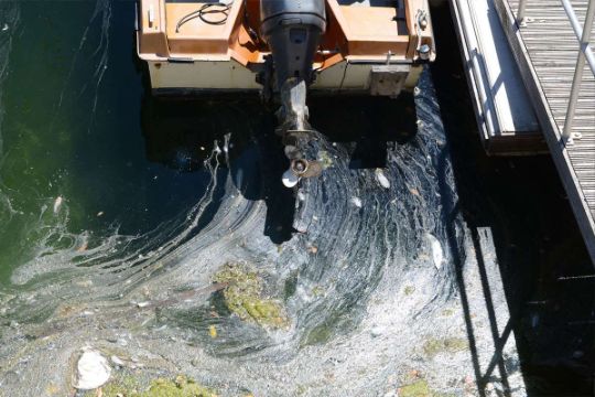 аварийные разливы нефти и топлива