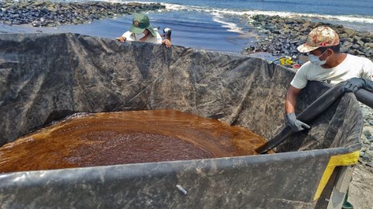 скиммер для переработки отходов
