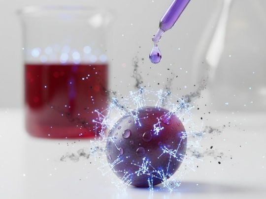 Экстракт Кожура и косточки винограда