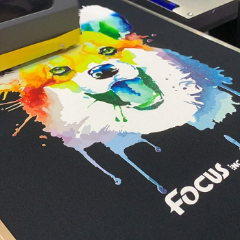 DTF ПЕЧАТЬ НА ОДЕЖДЕ