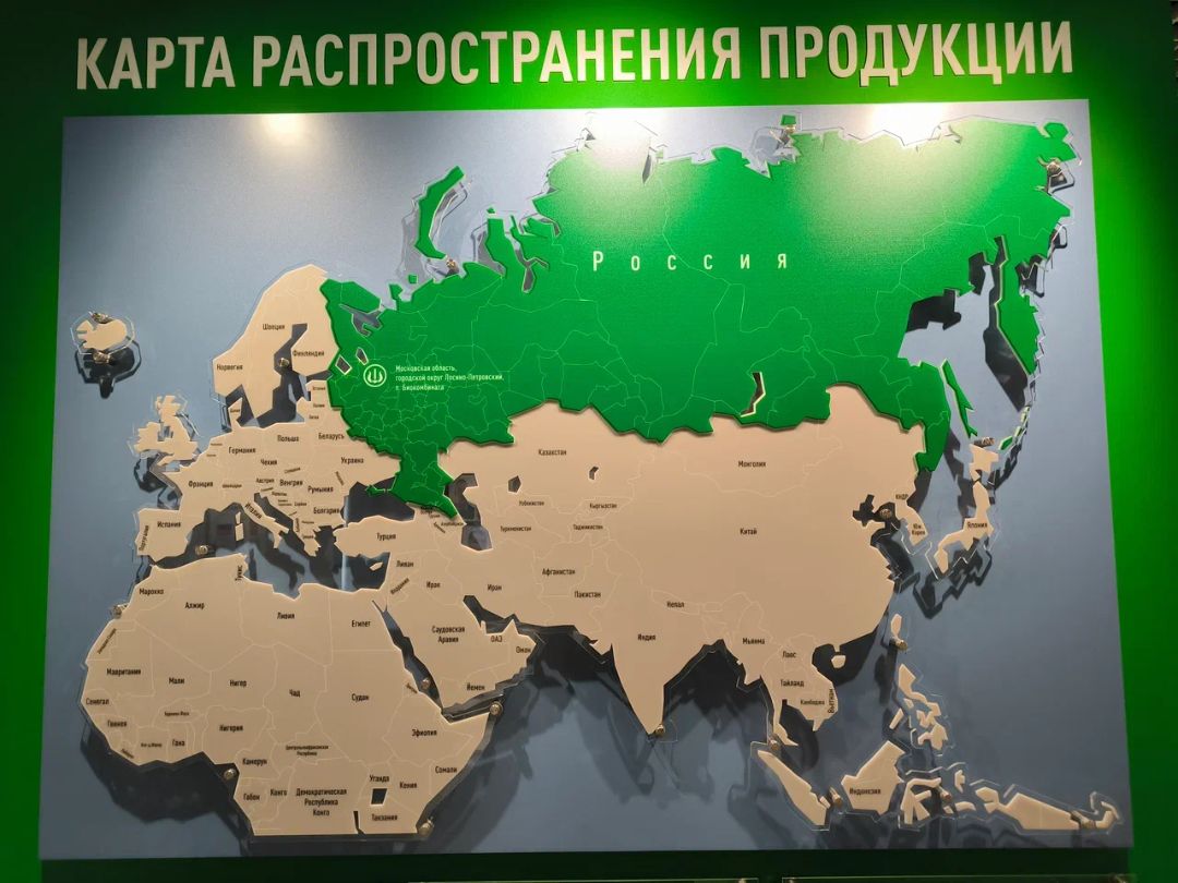 Макет карта