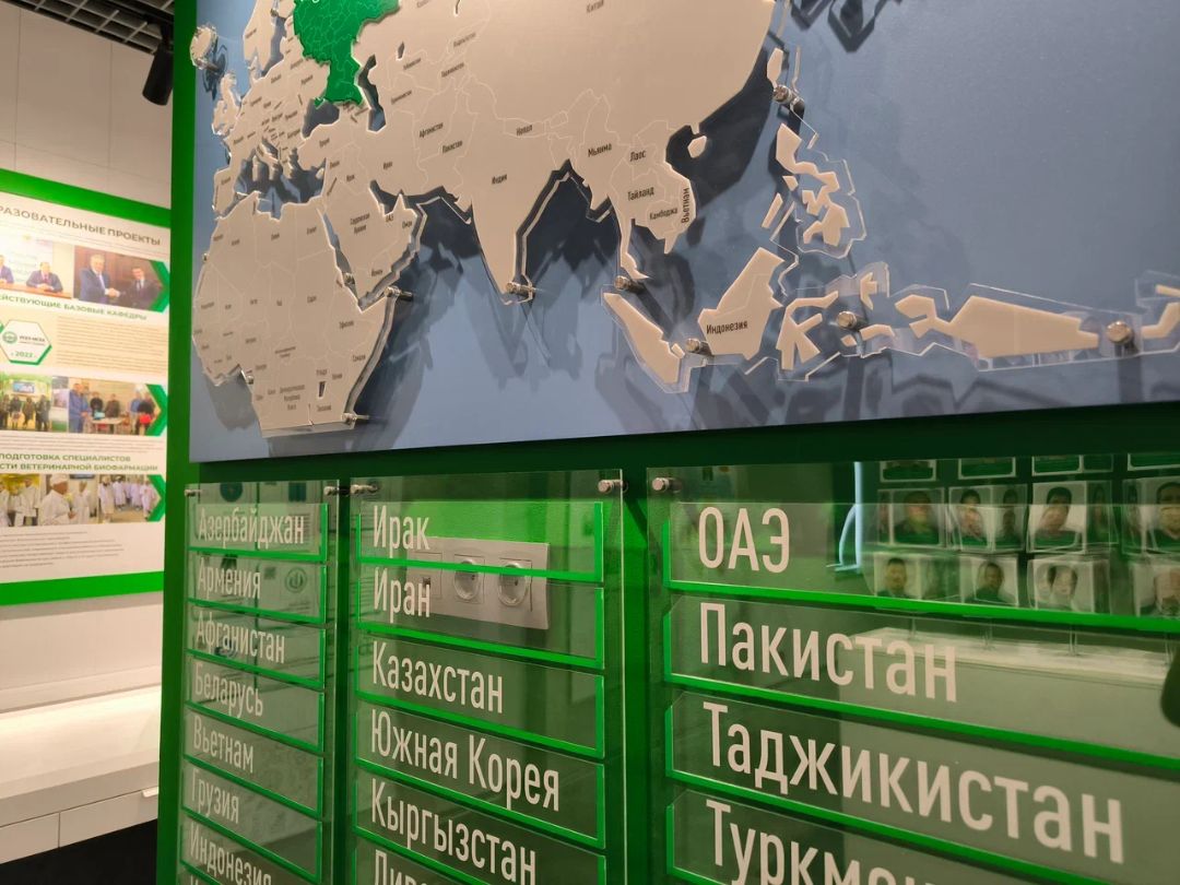 Макет карта