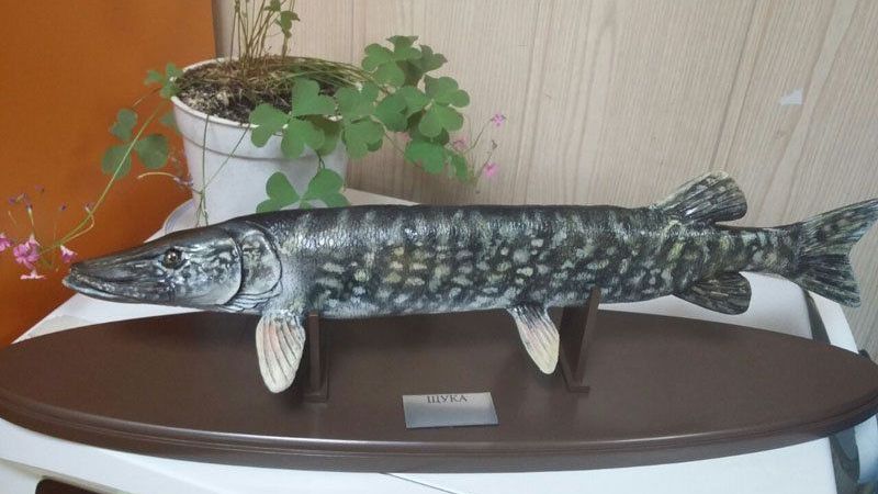 Макет оборудования в масштабе 1:1