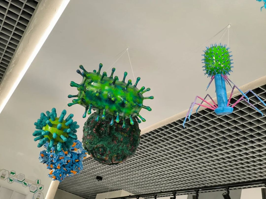 Макет карта