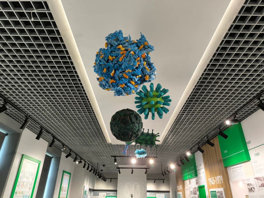 Макет карта