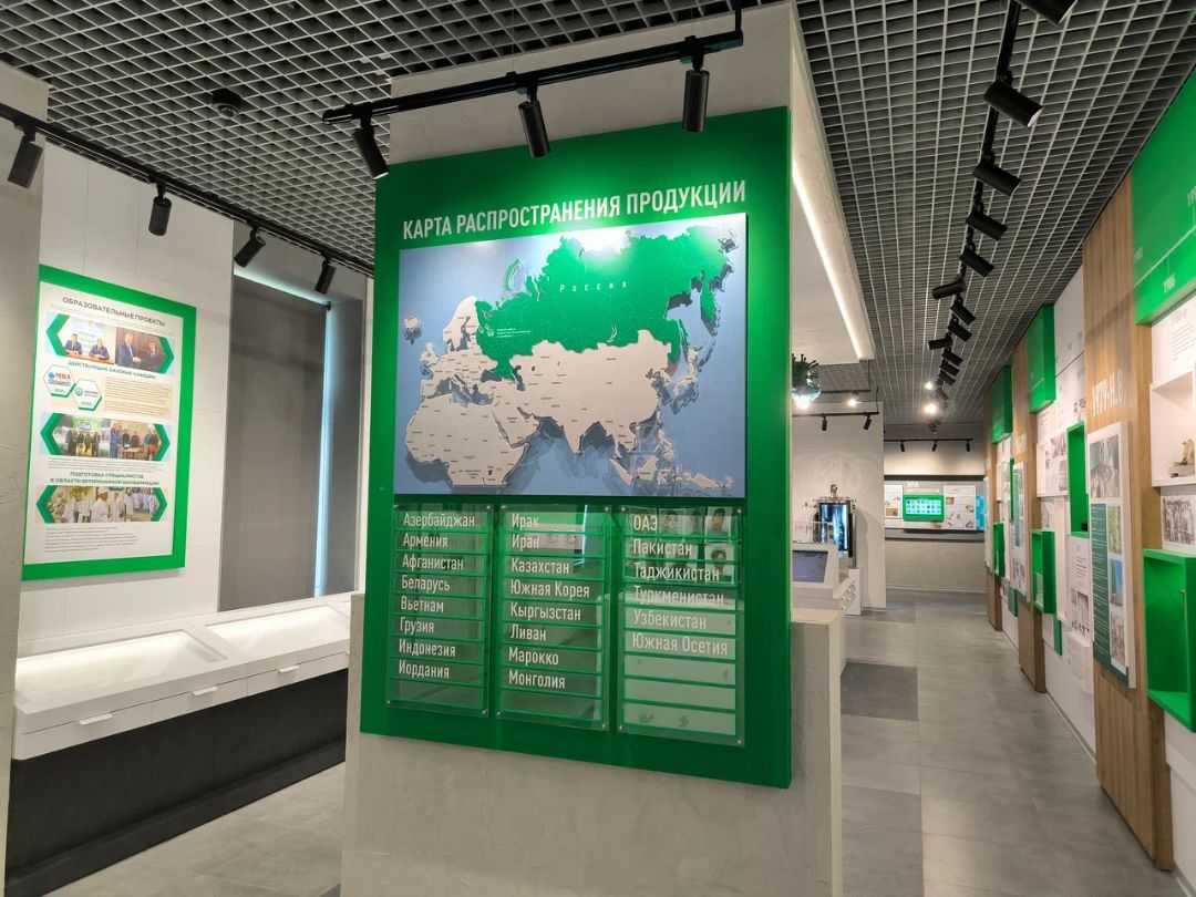 Макет карта