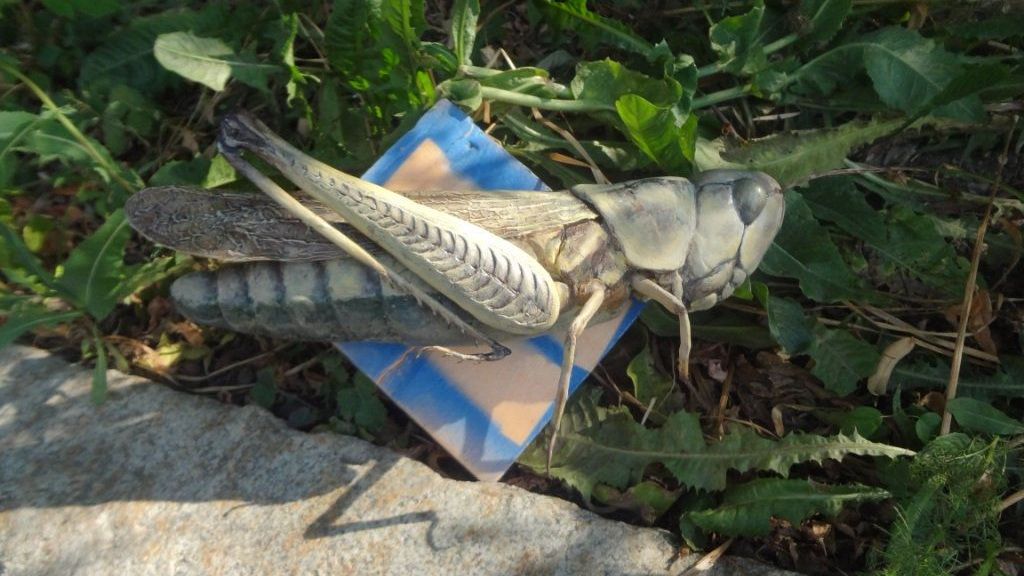 Макет оборудования в масштабе 1:1