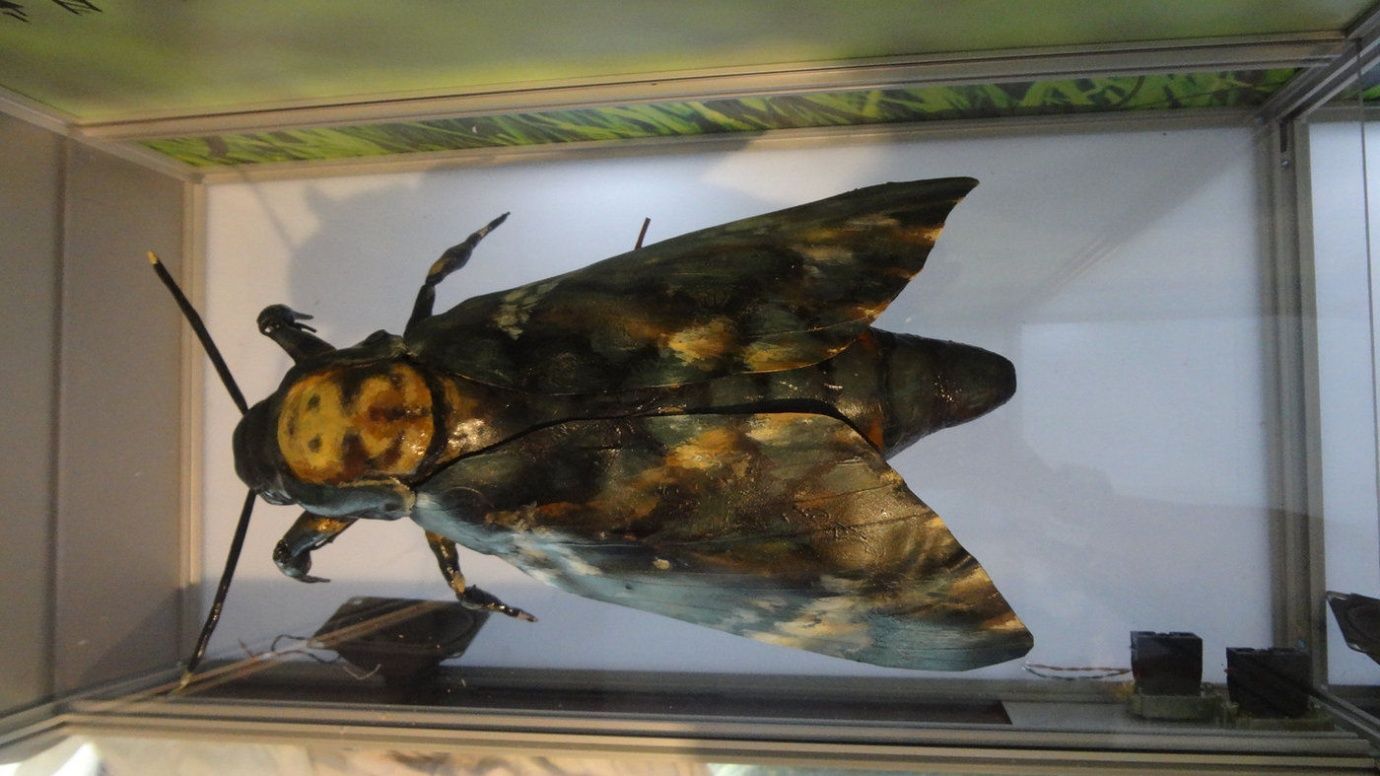 Макет оборудования в масштабе 1:1