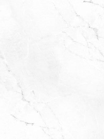 slotex 8099 bst Quartzite