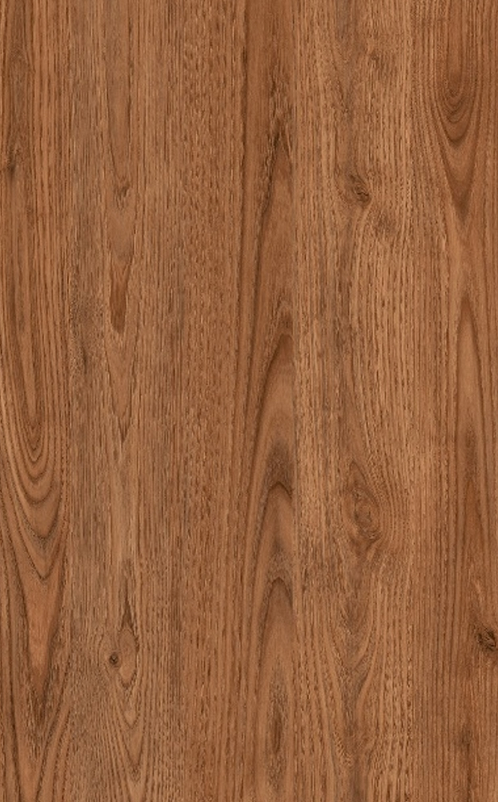 Gentas 4626 AUSTRALIA CHESTNUT