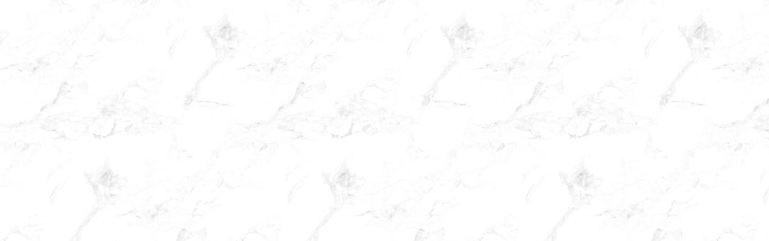Bernini Marble 2349