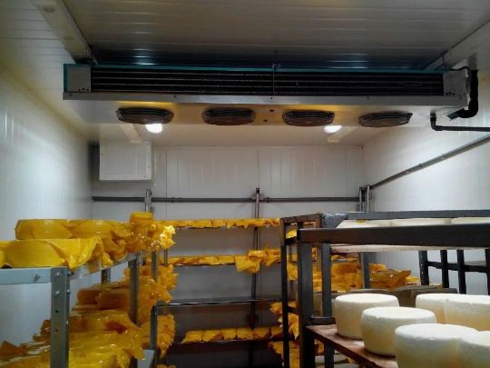 Вентиляция сырного цеха