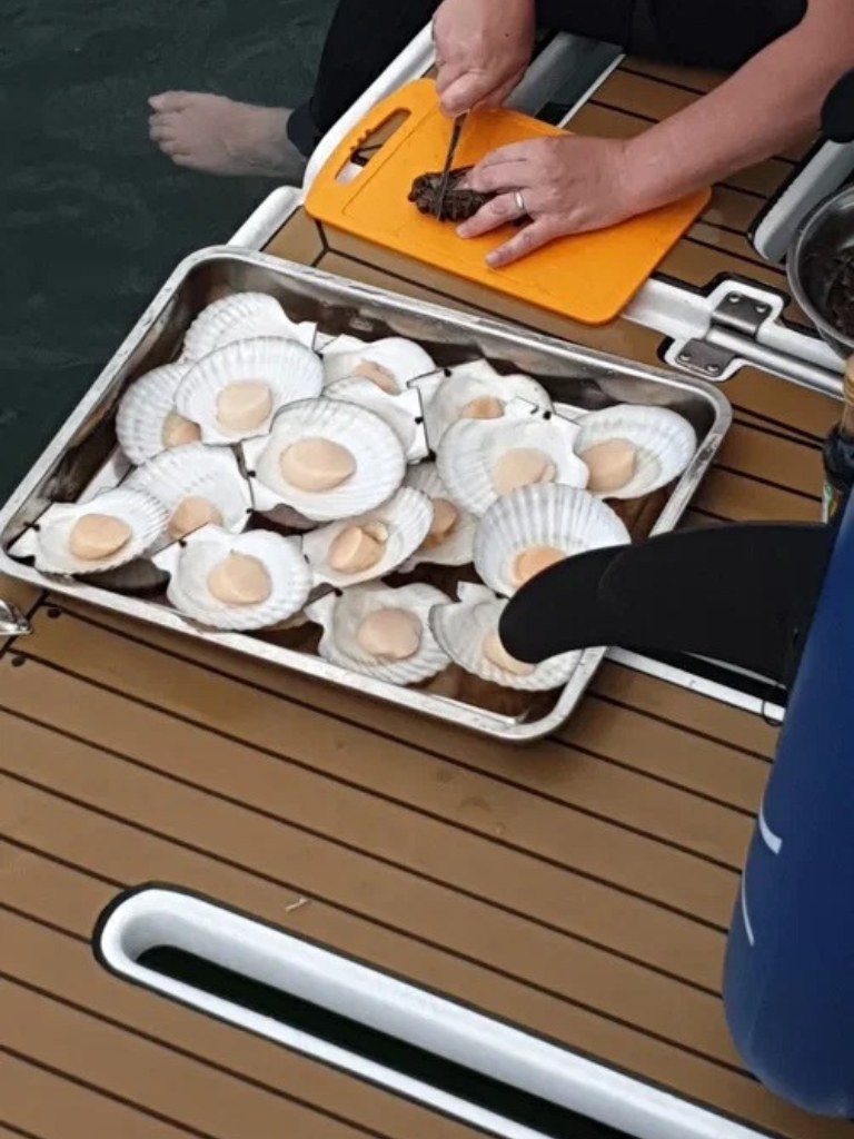 Аренда яхты во Владивостоке с водолазом