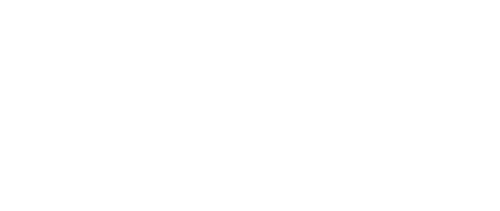 Логотип Fleck