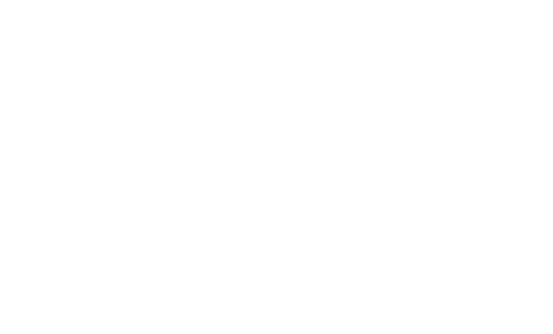 Логотип Magnum
