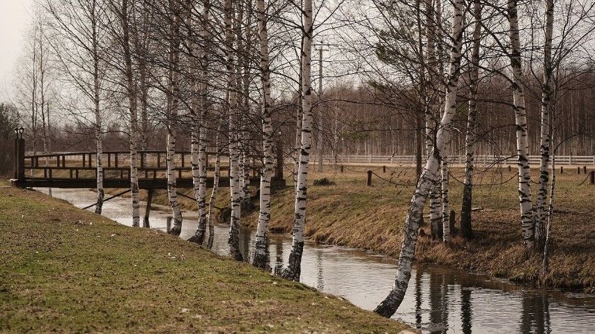 ```html <img src="https://www.tvoya-votchina.ru/images/village-pond.jpg" alt="Пруд посёлка 'Твоя Вотчина'">