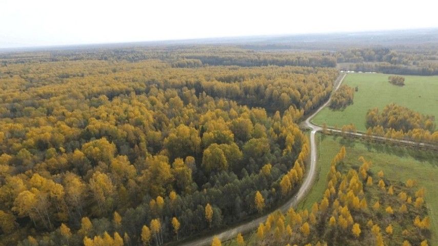 ```html <img src="https://www.tvoya-votchina.ru/images/village-top-view-in-autumn.jpg" alt="Вид сверху осенью 'Твоя Вотчина'">