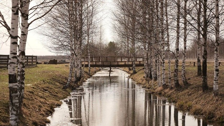 ```html <img src="https://www.tvoya-votchina.ru/images/village-pond.jpg" alt="Пруд посёлка 'Твоя Вотчина'">