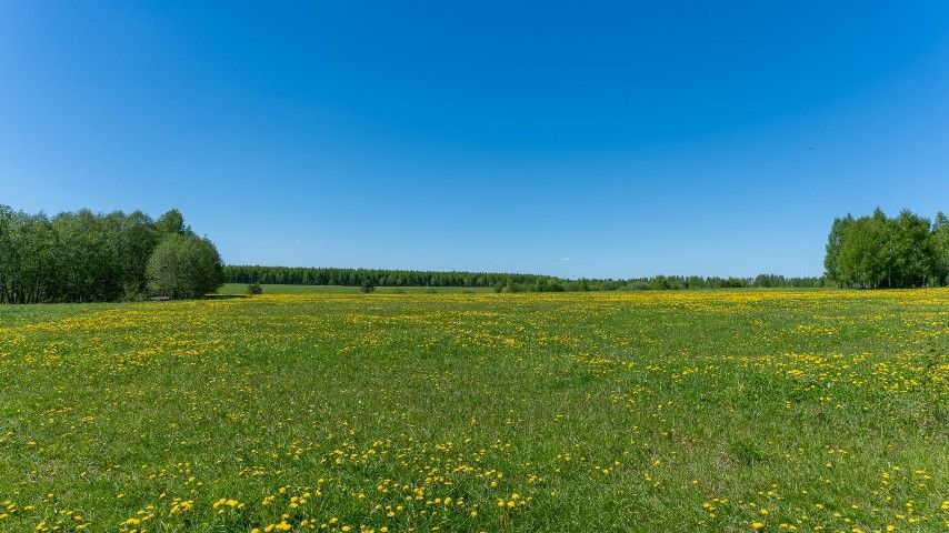 ```html <img src="https://www.tvoya-votchina.ru/images/village-land-plot.jpg" alt="Земельный участок посёлка 'Твоя Вотчина'">