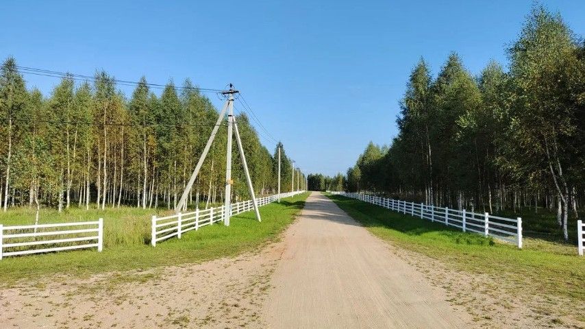 ```html <img src="https://www.tvoya-votchina.ru/images/village-road.jpg" alt="Дорога вдоль участков, заборы и электричество 'Твоя Вотчина'">