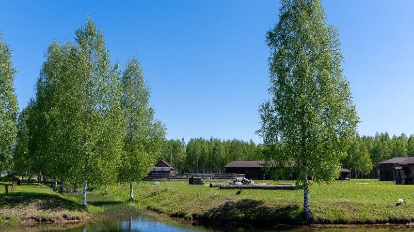 ```html <img src="https://www.tvoya-votchina.ru/images/village-farm.jpg" alt="Ферма посёлка 'Твоя Вотчина'">