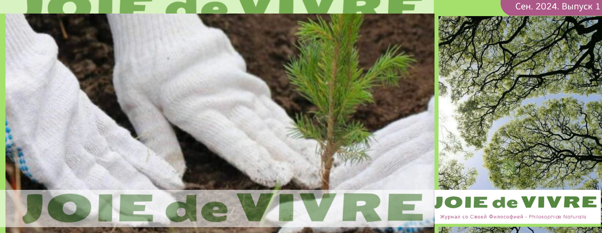 журнал joie de vivre