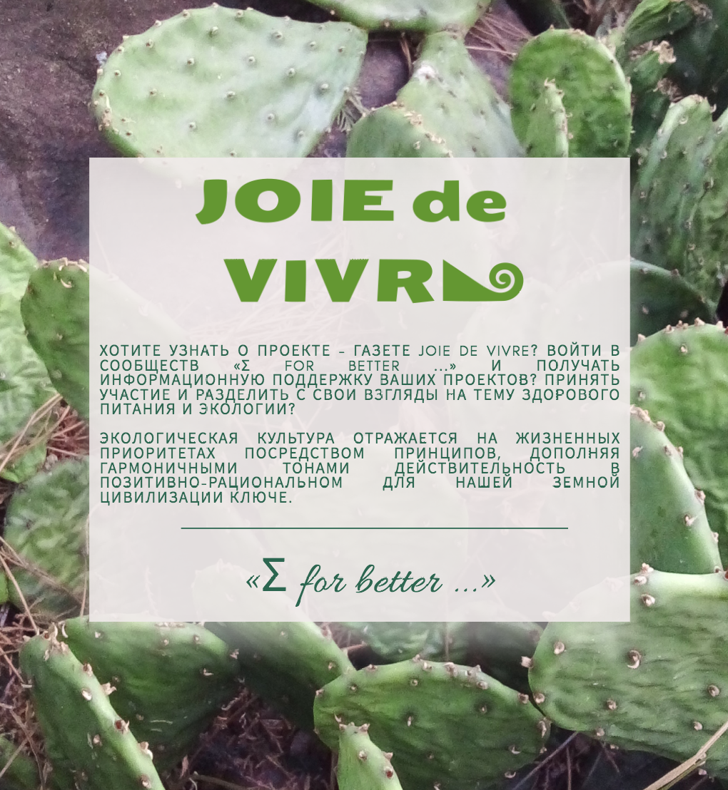 автор Флора Александра