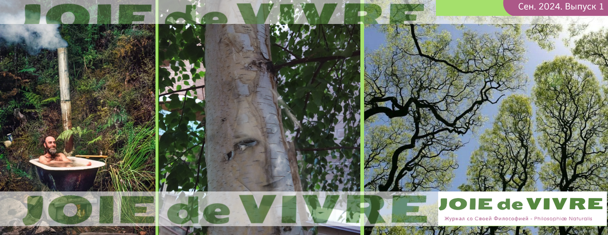 журнал joie de vivre