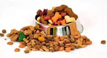 Категория: Корм для животных