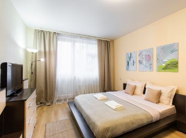 Благоустроенная однушка м.1905 года