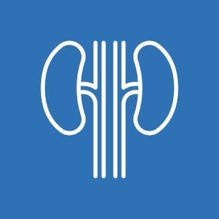 31.08.43 Нефрология