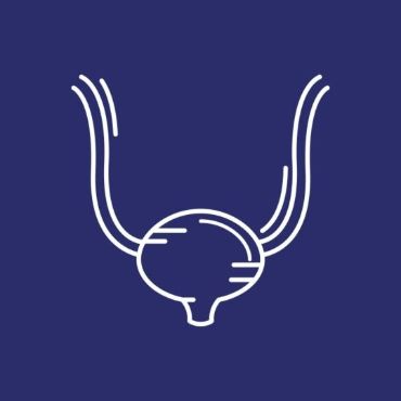 3.1.13 Урология и андрология