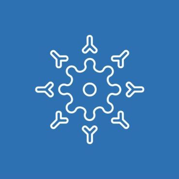 31.08.26 Аллергология и иммунология