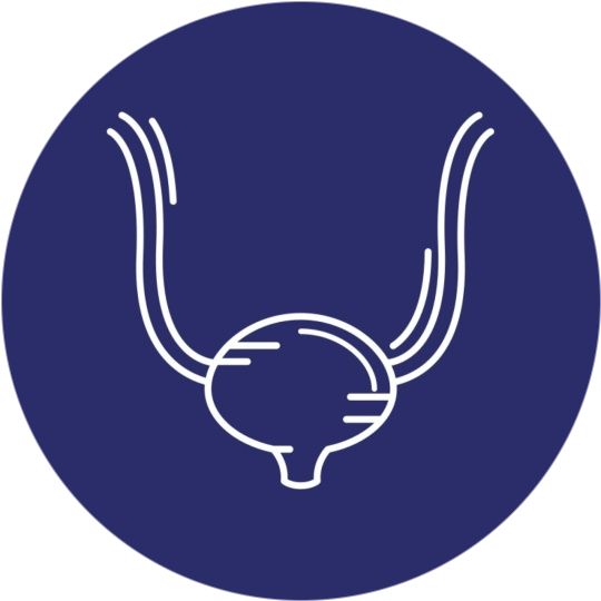 Аспирантура: Урология и андрология