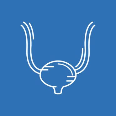 31.08.68 Урология