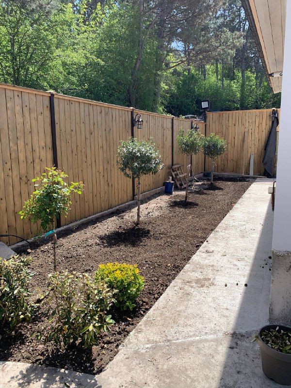 посадка кустарников