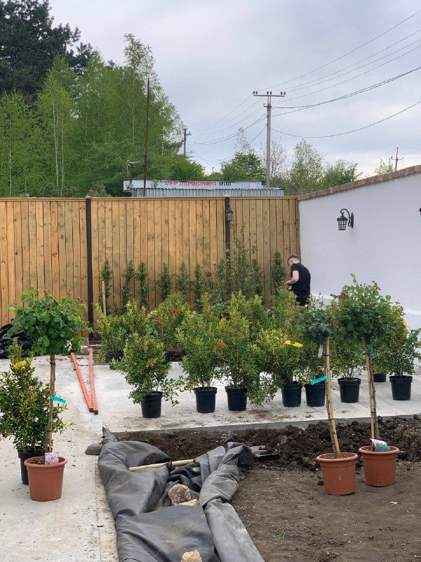 ландшафтные работы