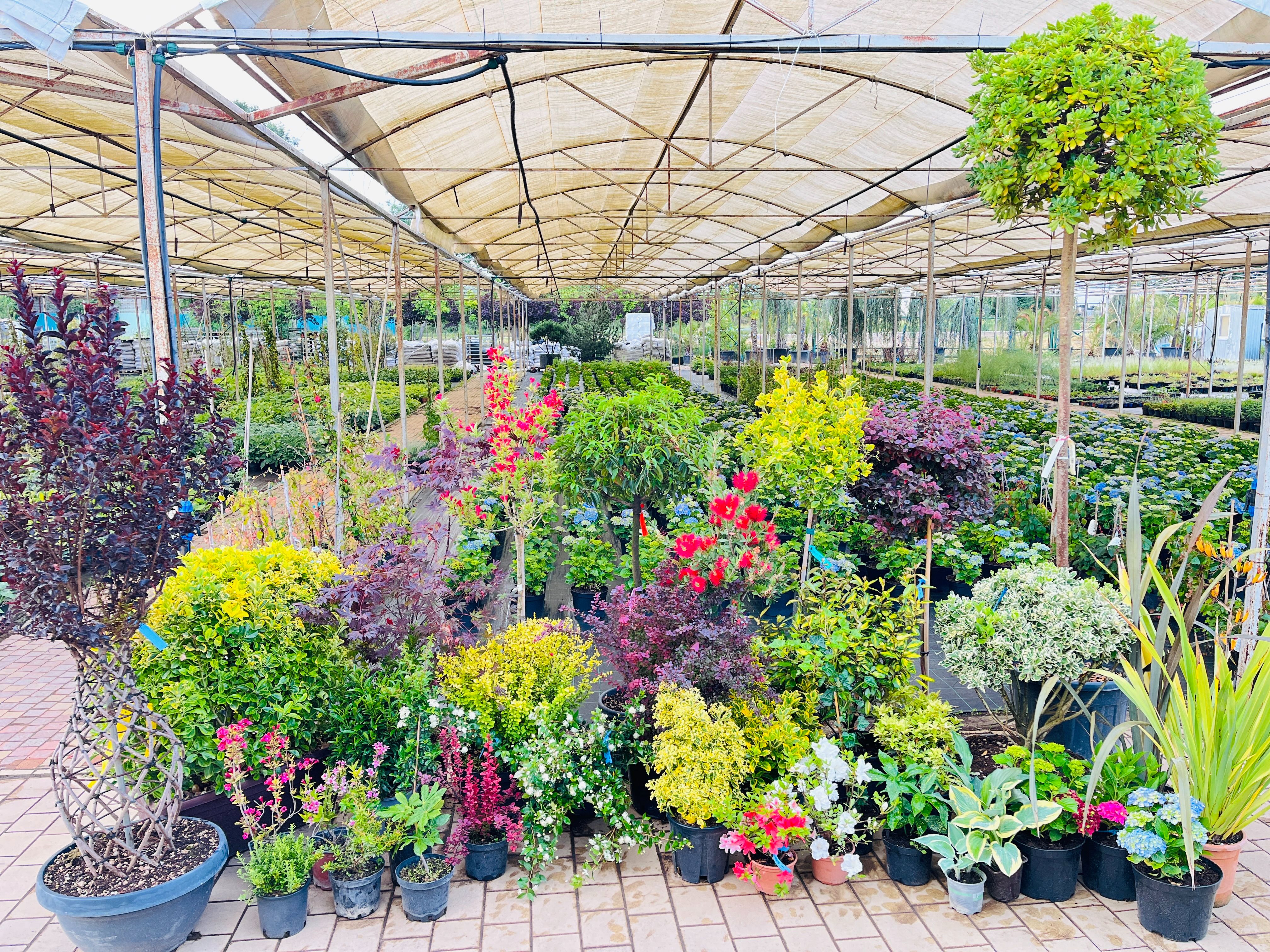 Галерея "Краснолесье"